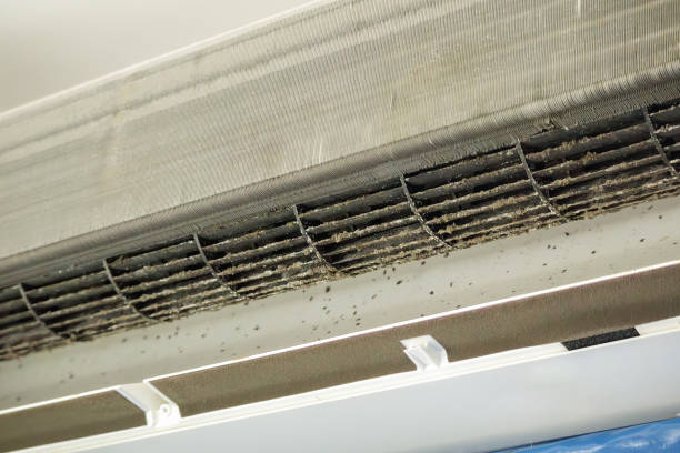 Best Residential Air Duct Cleaning in Minoa, NY